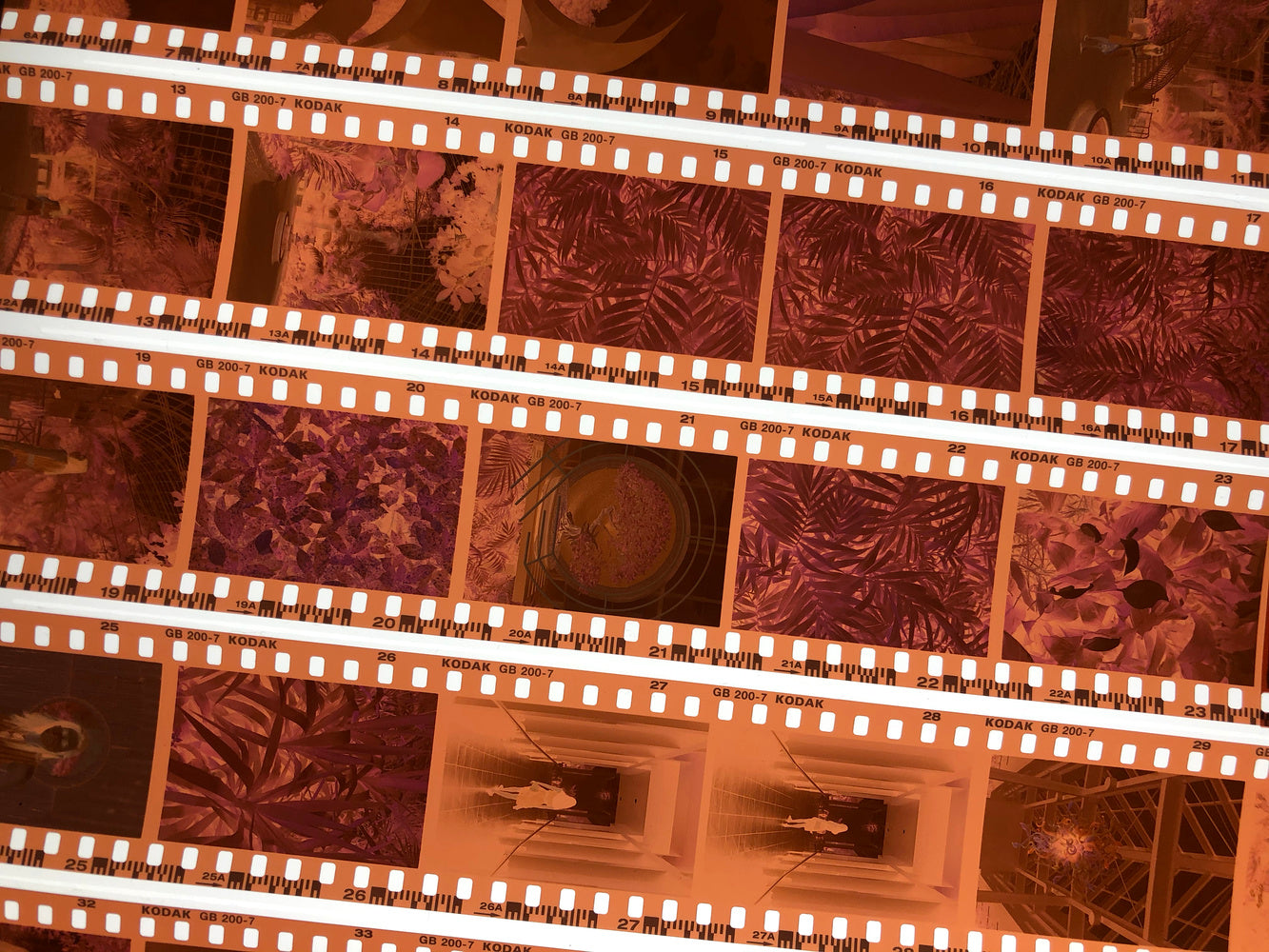 Local Film Processing